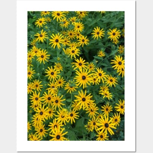 Yellow Daisies Posters and Art